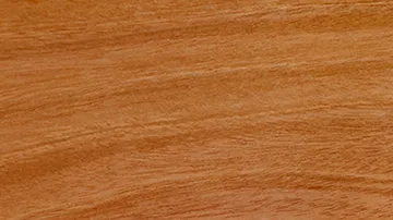 Ambassador Hummingbird Cremation Urn with Wood Art Inlay