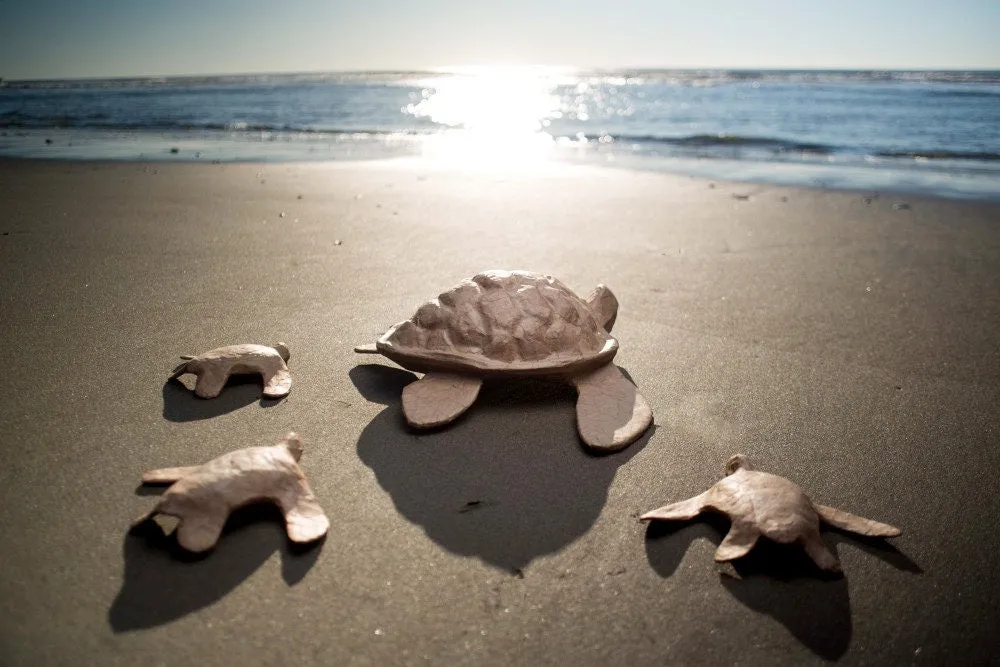 Biodegradable Paper Turtle Mini Water Burial Urn