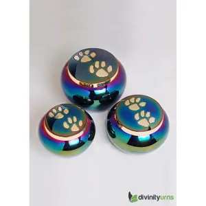 Buddy Rainbow Pet Cremation Urn- Medium