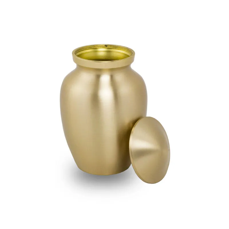 Classic Bronze Cremation Pet Urn in Extra Small