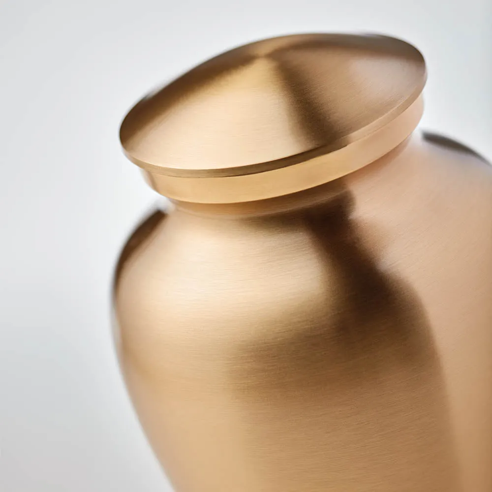 Classic Bronze Cremation Pet Urn in Extra Small