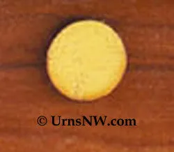 Desert Horse Wood Cremation Urn with Dimensional Inlay Art