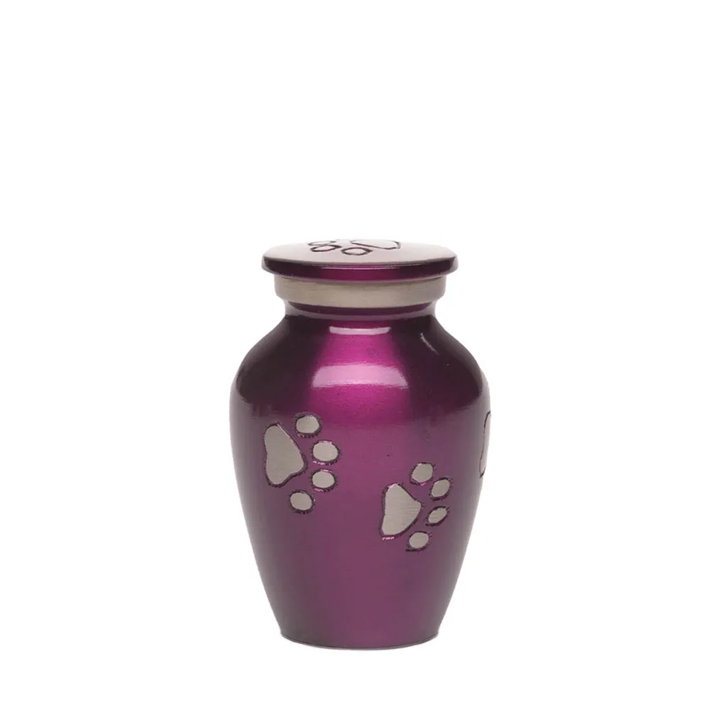 KEEPSAKE Brass Pet Urn - "Forever Paw"