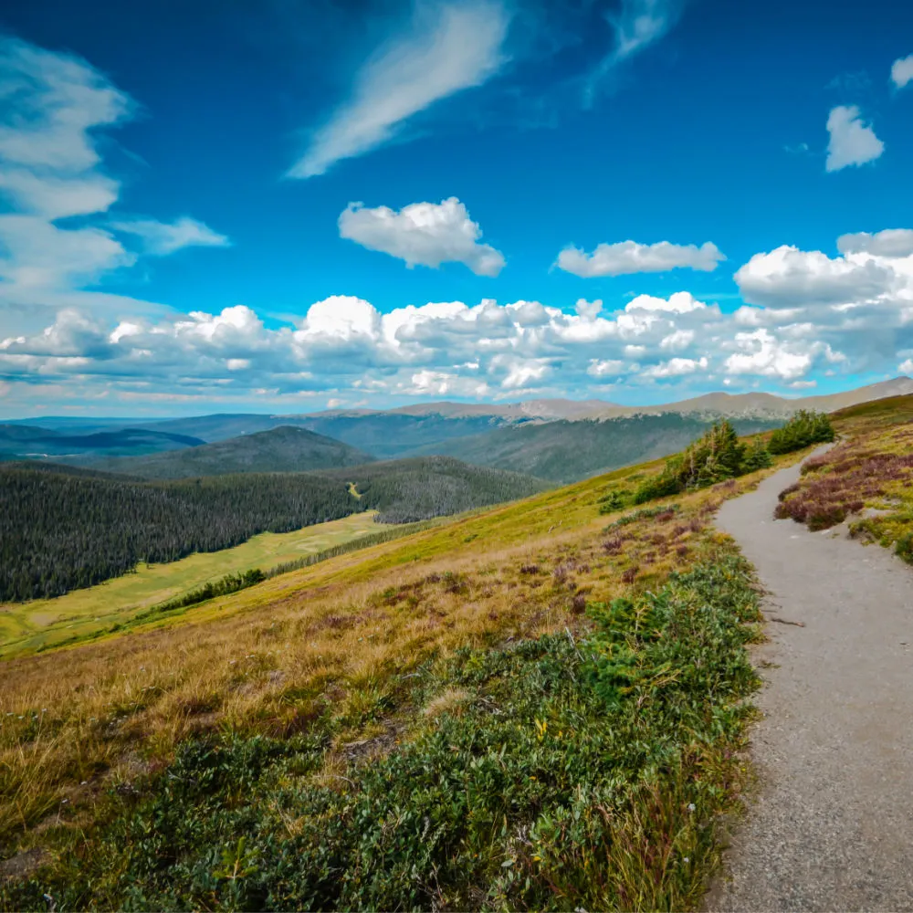 Medicine Bow Curve