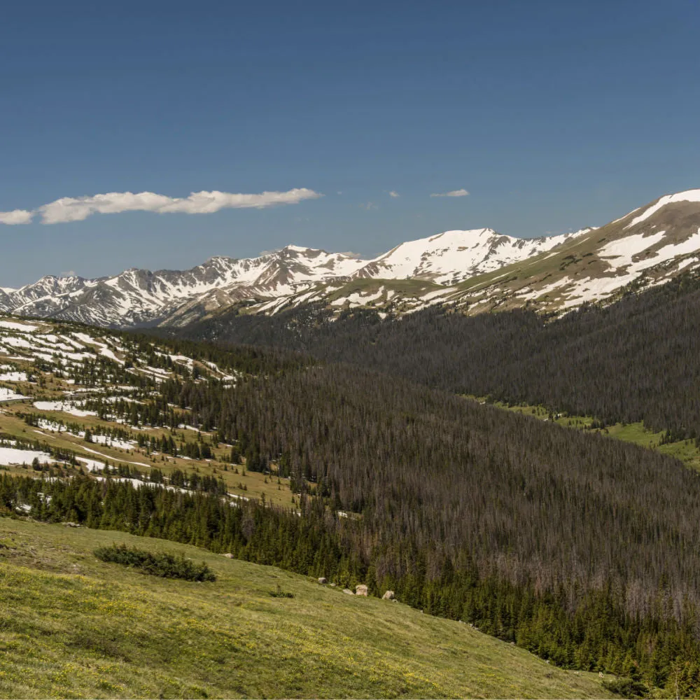 Medicine Bow Curve
