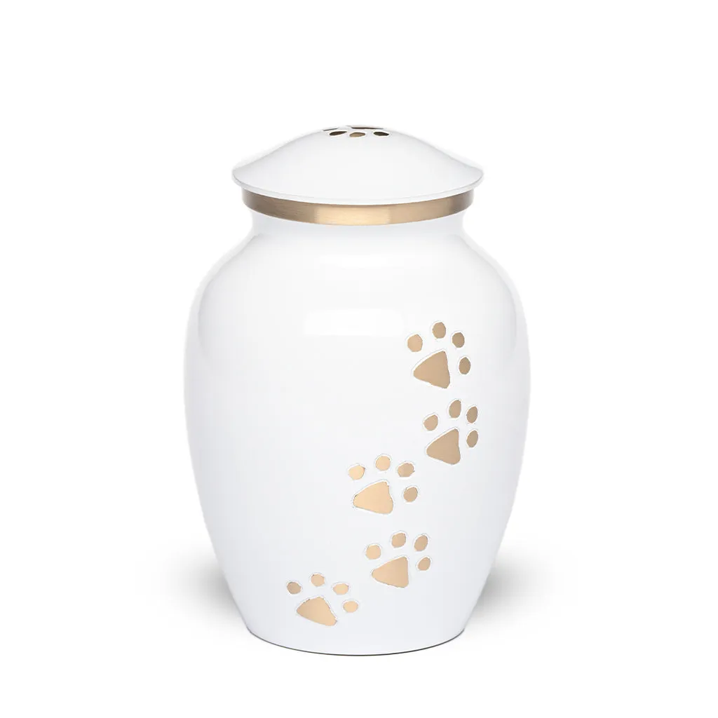 MEDIUM  Brass Pet Urn -"Paws to Heaven"
