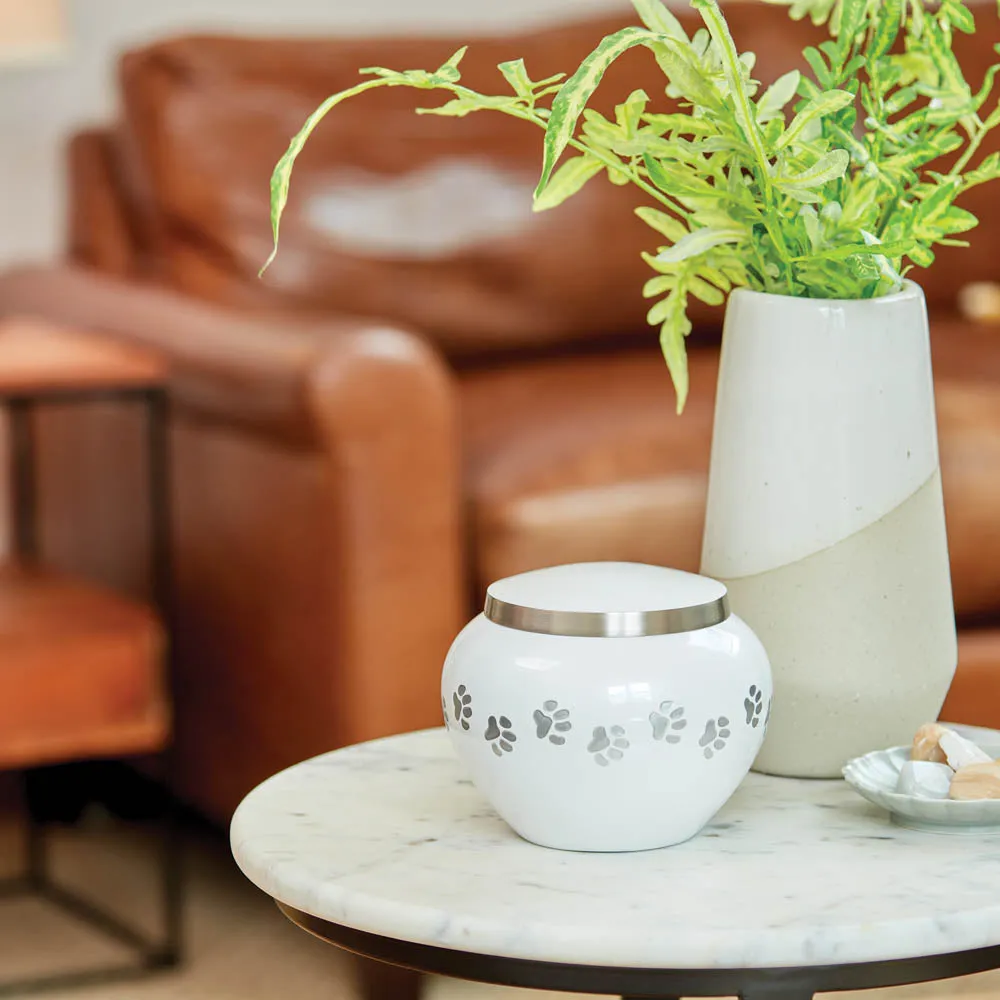 Odyssey Pearl Pet Urn in Extra Small