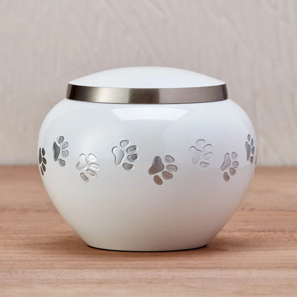 Odyssey Pearl Pet Urn in Extra Small