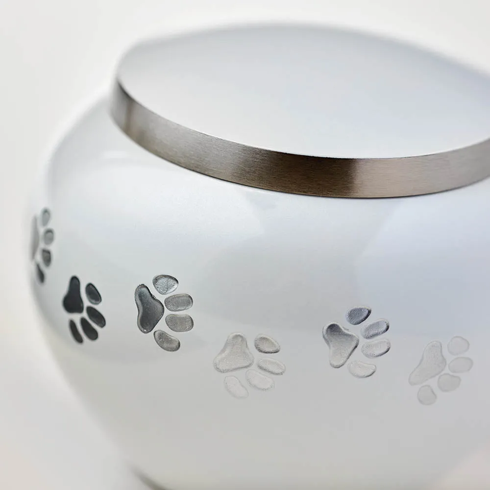 Odyssey Pearl Pet Urn in Extra Small