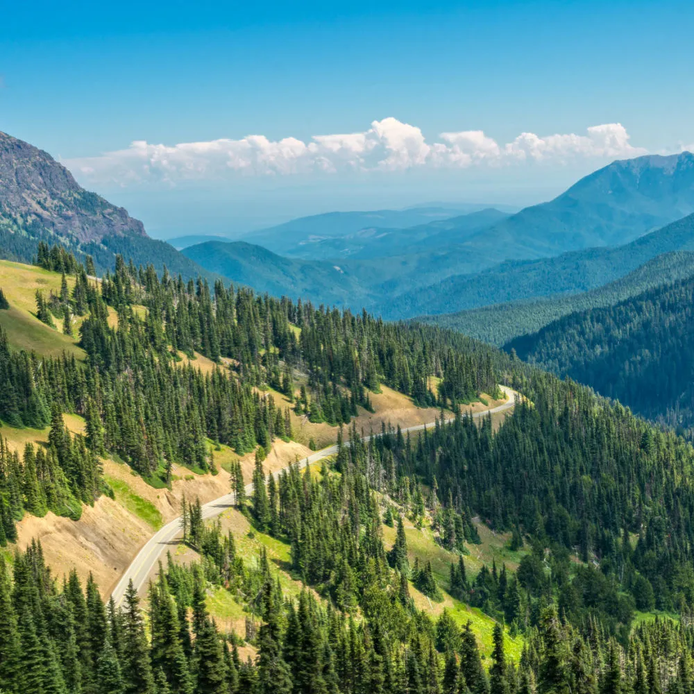 Olympic National Park
