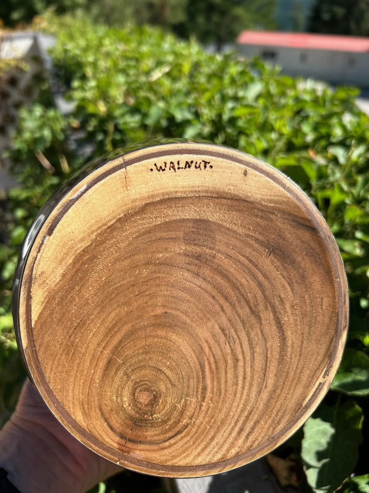Painted Walnut Turned Urn 11