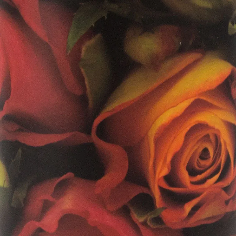 Roses Scattering Cremation Urn in Mini