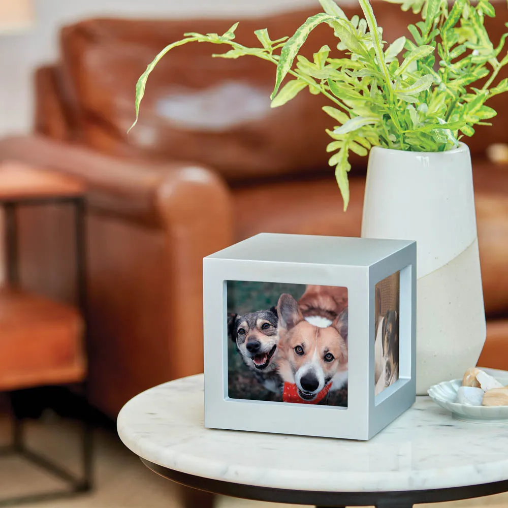 Silver Pet Photo Cube Urn in Small