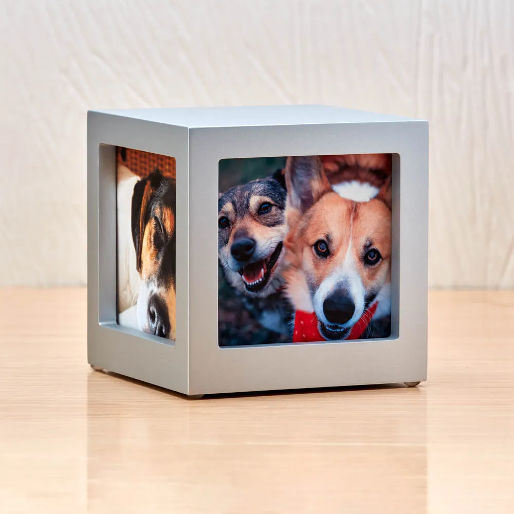 Silver Pet Photo Cube Urn in Small