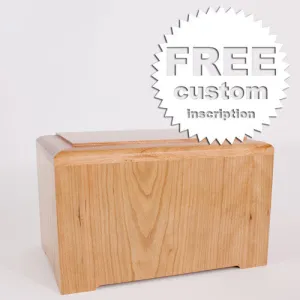 Simplicity Cremation Urn (holds most temporary urns)