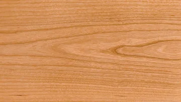 Simplicity Cremation Urn (holds most temporary urns)