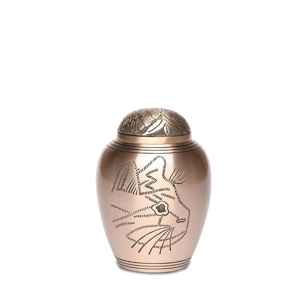 SMALL Brass Urn -1576- Engraved KITTY face