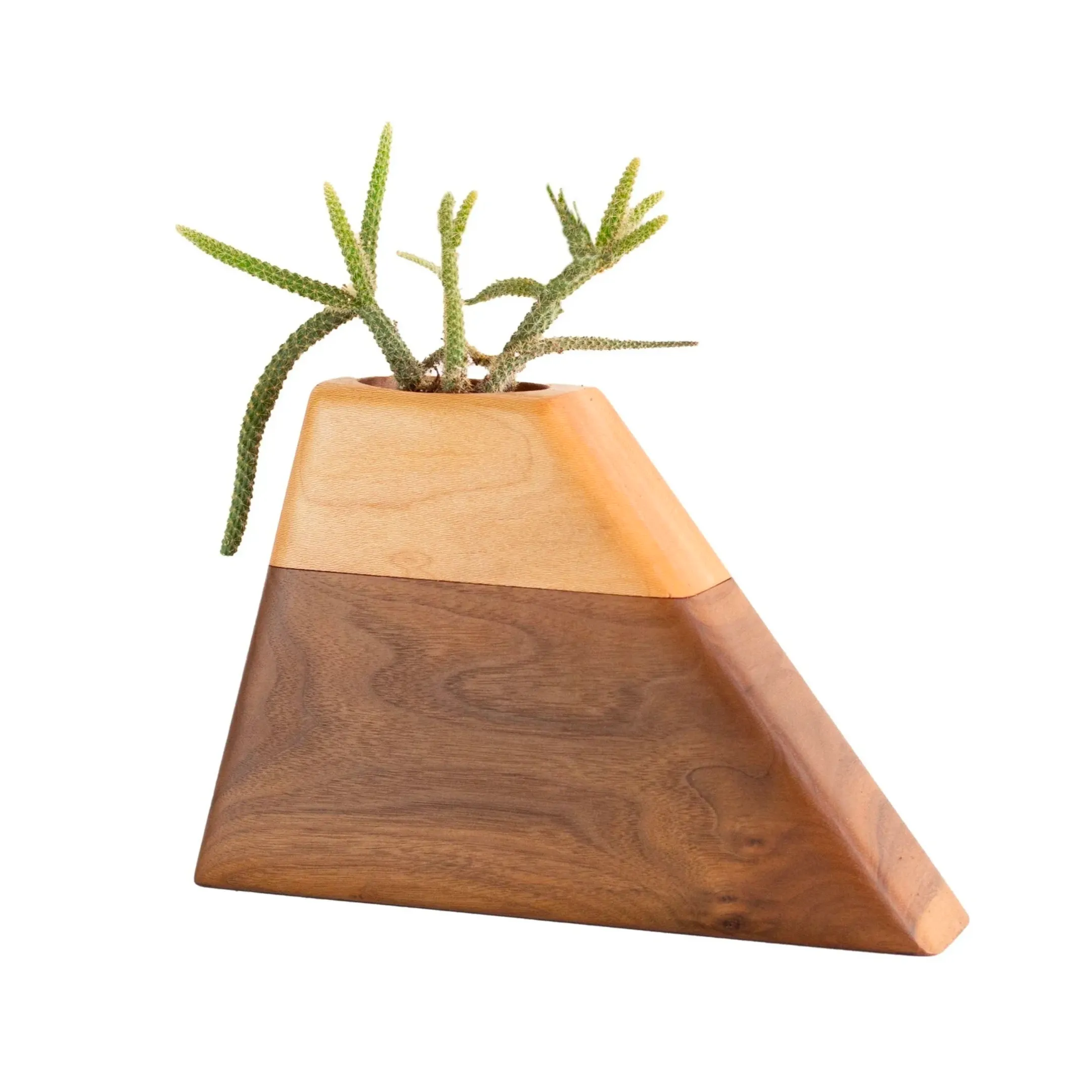The Casey Plant Urn in Walnut & Sycamore