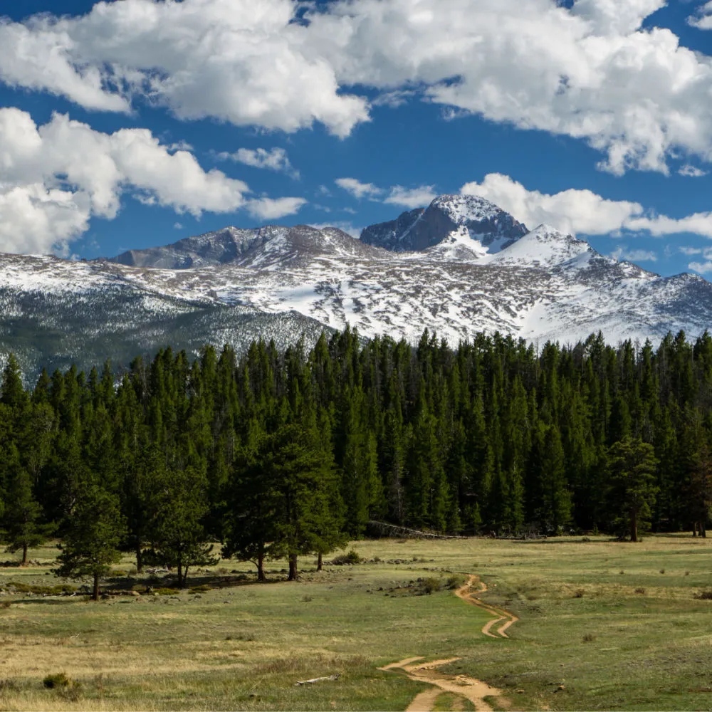 Upper Beaver Meadows