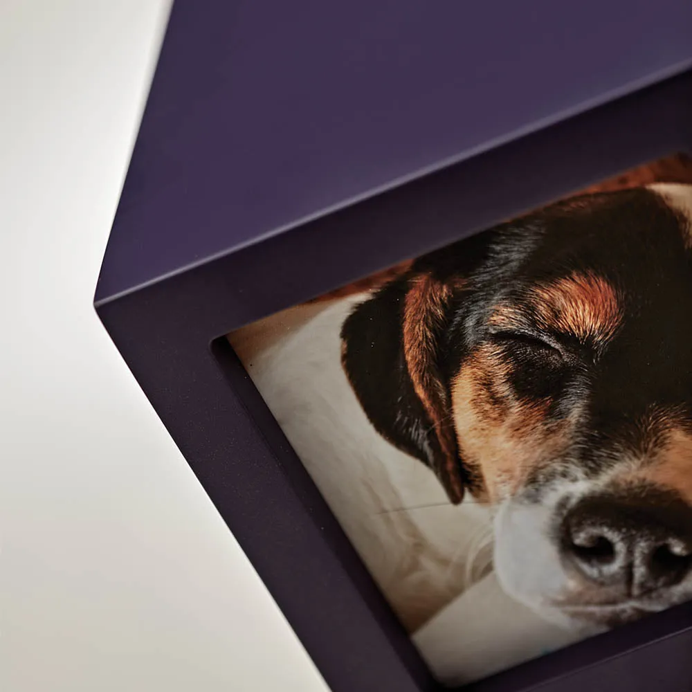 Violet Pet Photo Cube Urn in Extra Small