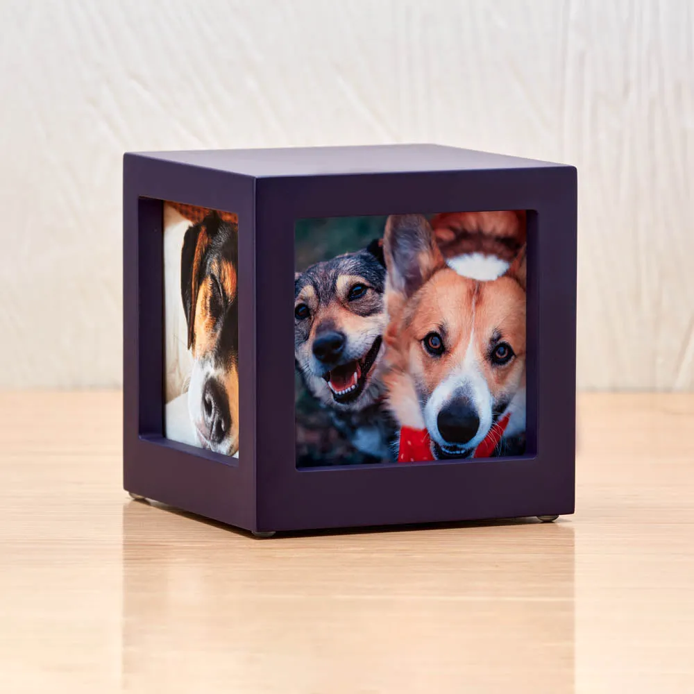 Violet Pet Photo Cube Urn in Extra Small